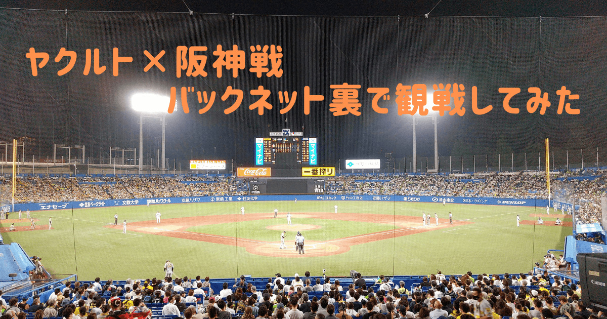 野球観戦 明治神宮球場で白熱の試合 選手も間近の座席で花火も Kikiの癒しブログ